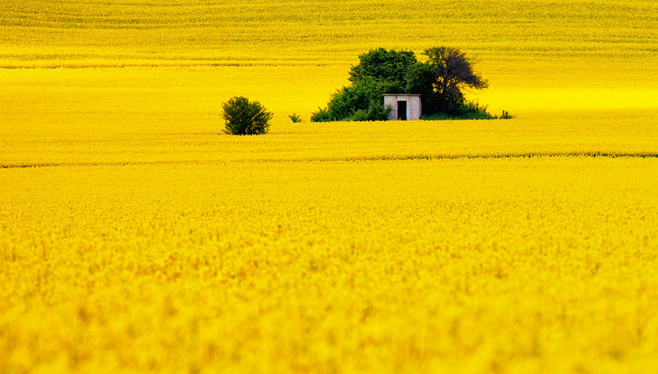 България във фотописи