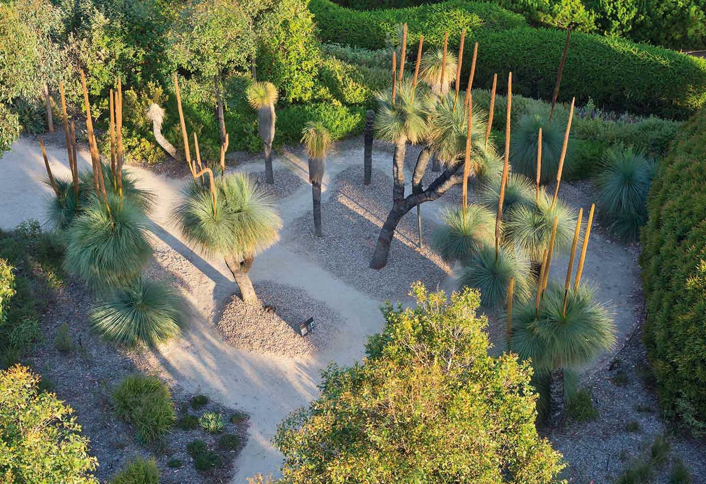 Ботаническа градина, създадена върху бивша пясъчна кариера