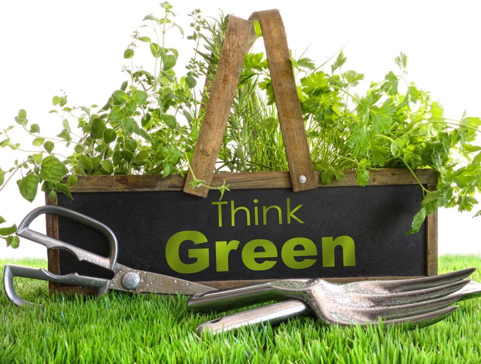 10 техники как да сте на зелено и да пестите