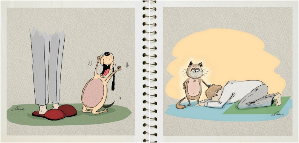 Няколко разлики между котките и кучетата, показани в забавни илюстрации