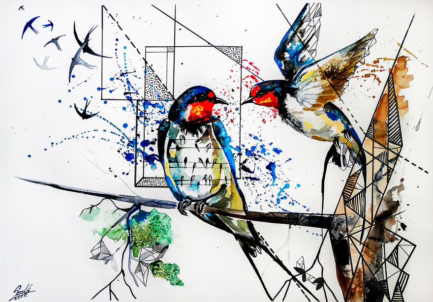 Красиви птици, нарисувани чрез смесването на три техники