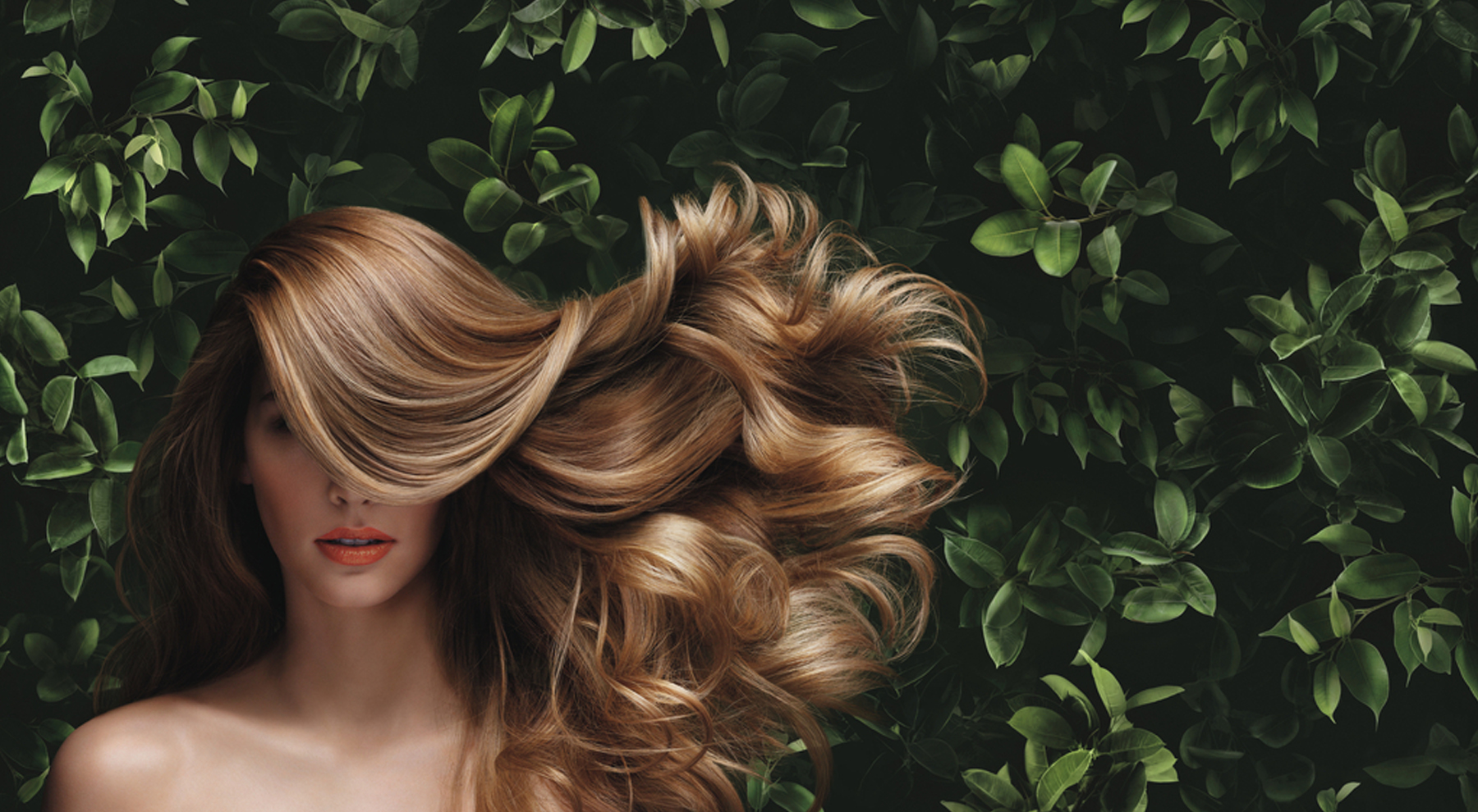 7 златни правила за здрава и красива коса