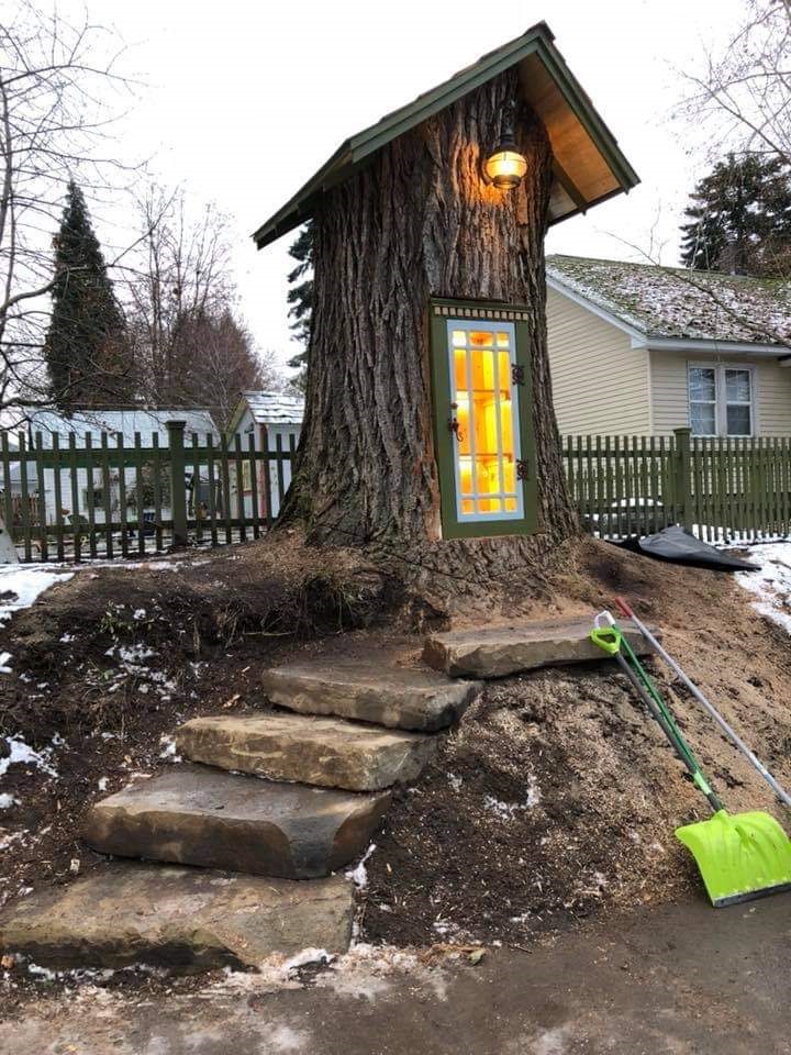 110-годишно дърво превърнато в уютна малка библиотека