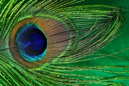 Петър Дънов: Десет мъдри съвета