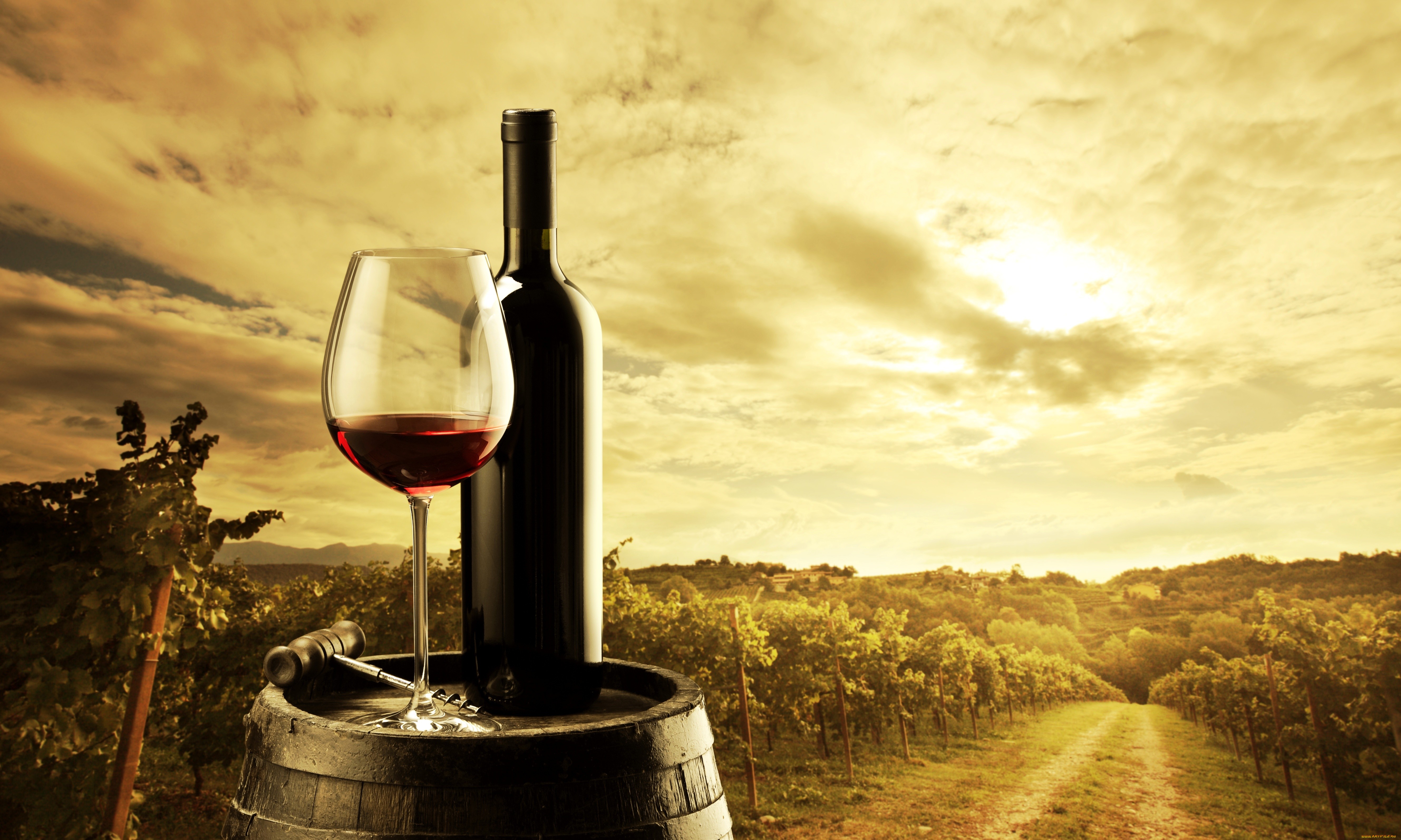 10 вечни мисли за виното