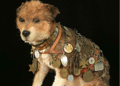 Кучето Оуни, което се превръща в пощенски талисман