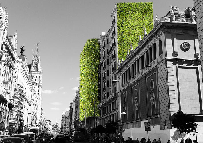 Мадрид се покрива с растителност, за да се бори с нарастващите температури