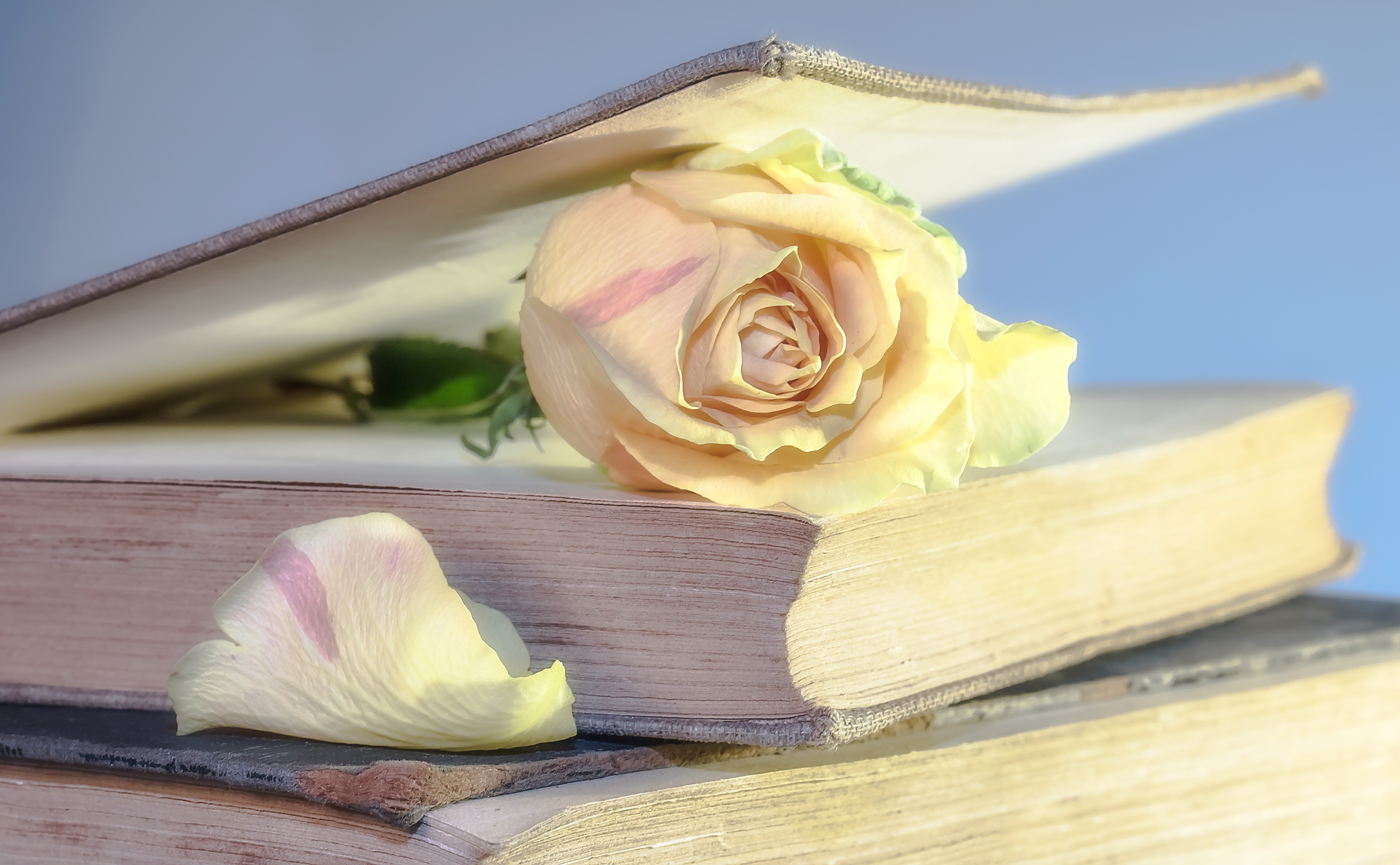 Пет "вкусни" книги, които разказват за любов