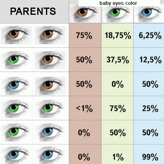 Видео: Какъв ще е цветът на очите на бебето ви?