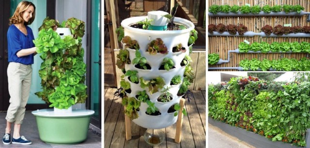 20 креативни идеи за вертикална градина