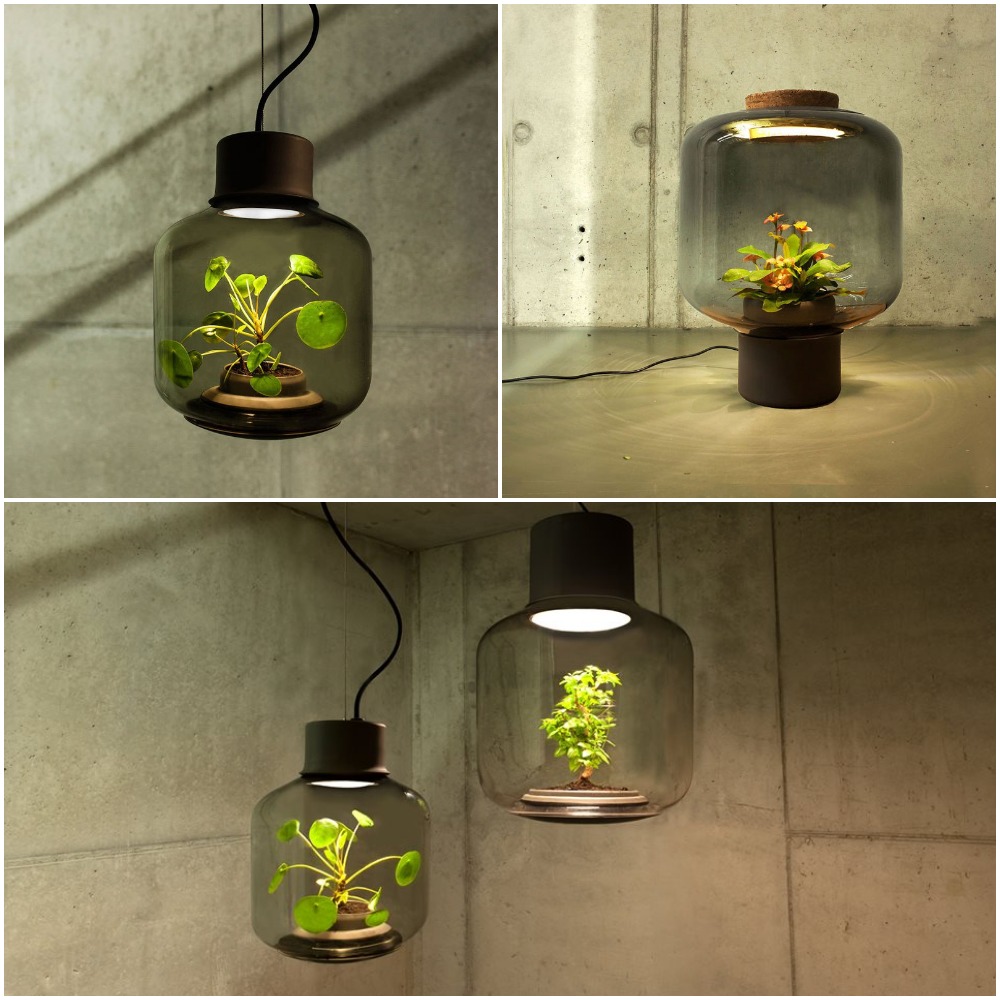 Растения живеят без естествена светлина и вода чрез иновативни лампи