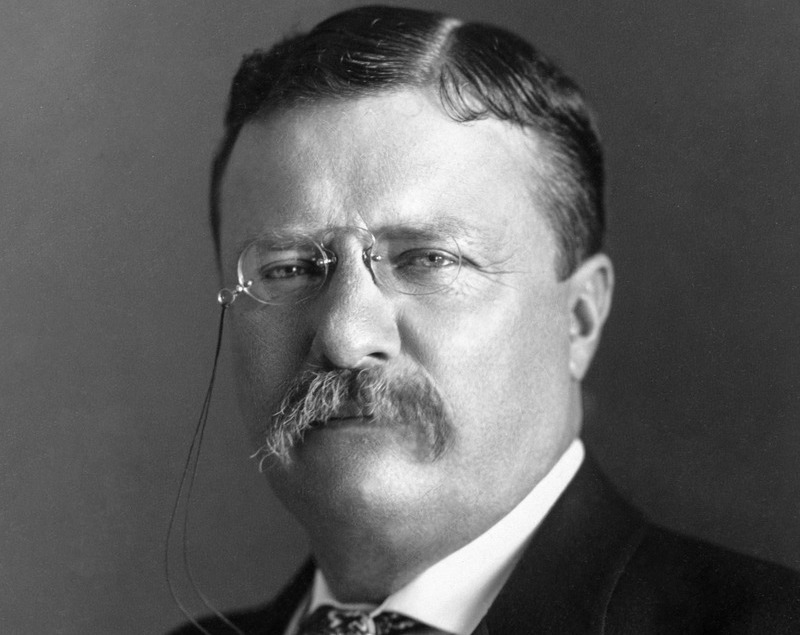 Теодор Рузвелт: Само едно нещо е по-лошо от каменното сърце – и това е течният мозък