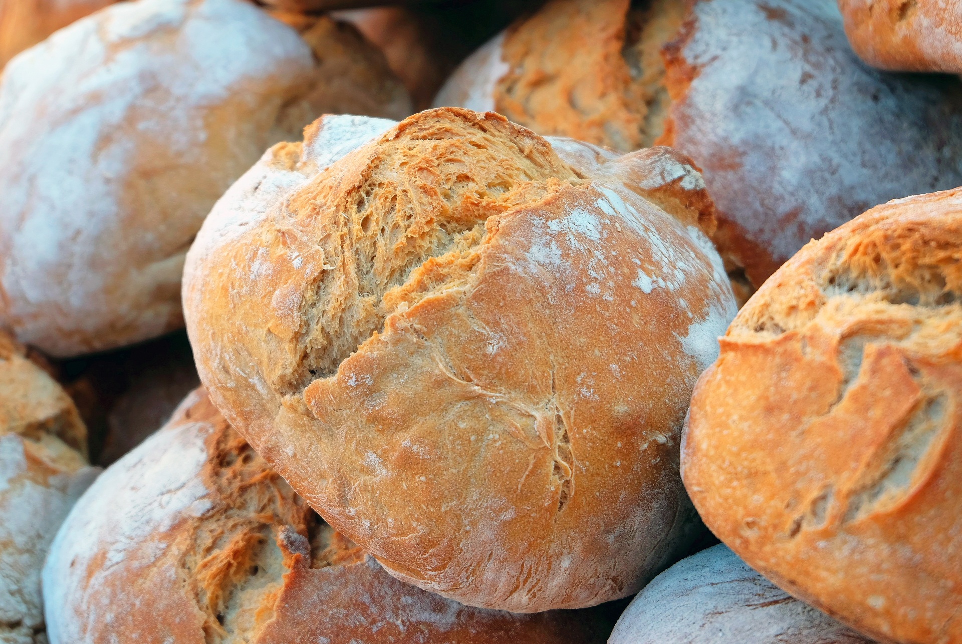 10 мъдри поговорки за хляба
