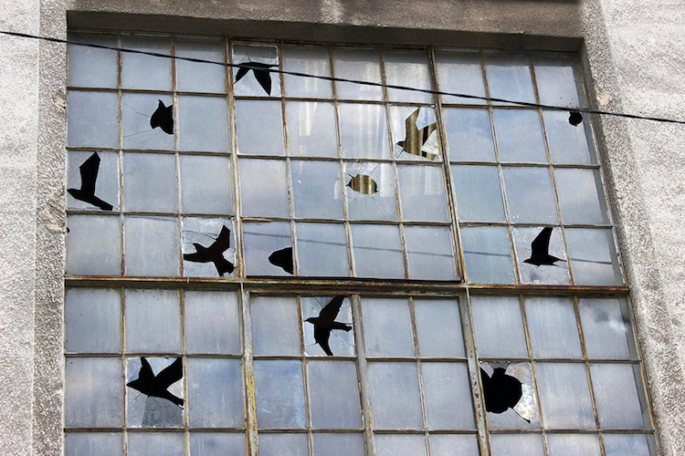 Прозорци на изоставена фабрика, изрязани във формата на птици