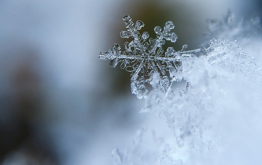 8 невероятни факта за снега и снежинките