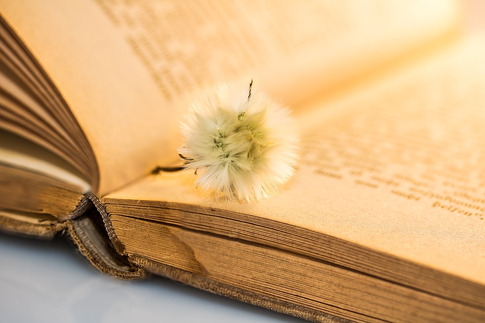 Лечебното четене: коя литература от какво лекува