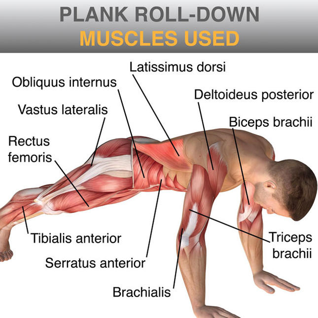 Планк предизвикателство – изгради силни коремни мускули за 28 дни