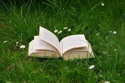 Защо си заслужава да се влюбиш в книжен плъх