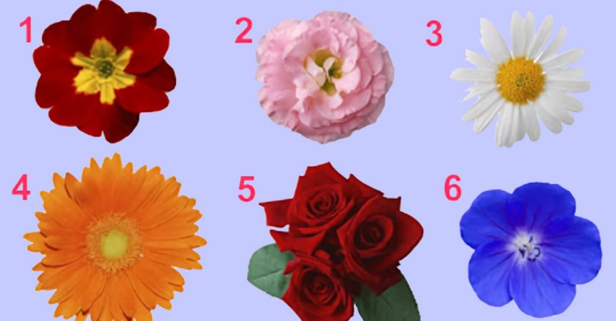 Бърз и интересен тест за жени: Избери едно цвете и виж какво казва то за твоята женственост!