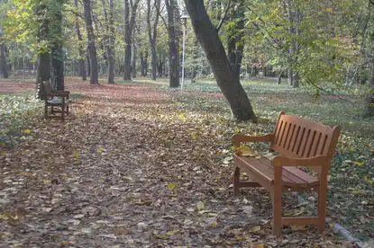 Урокът на "есенните хора"