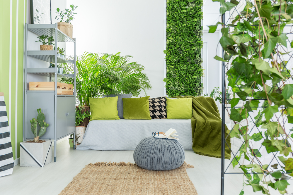 Как да вплетем зеленото в дома си?