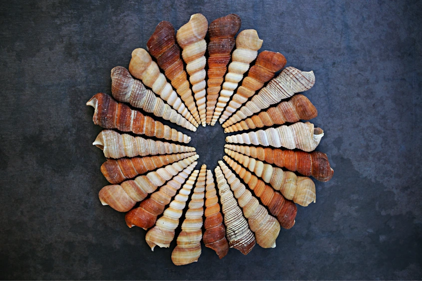 Петър Дънов: Влезе ли Любовта в човека, всичко нечисто и вредно излиза навън