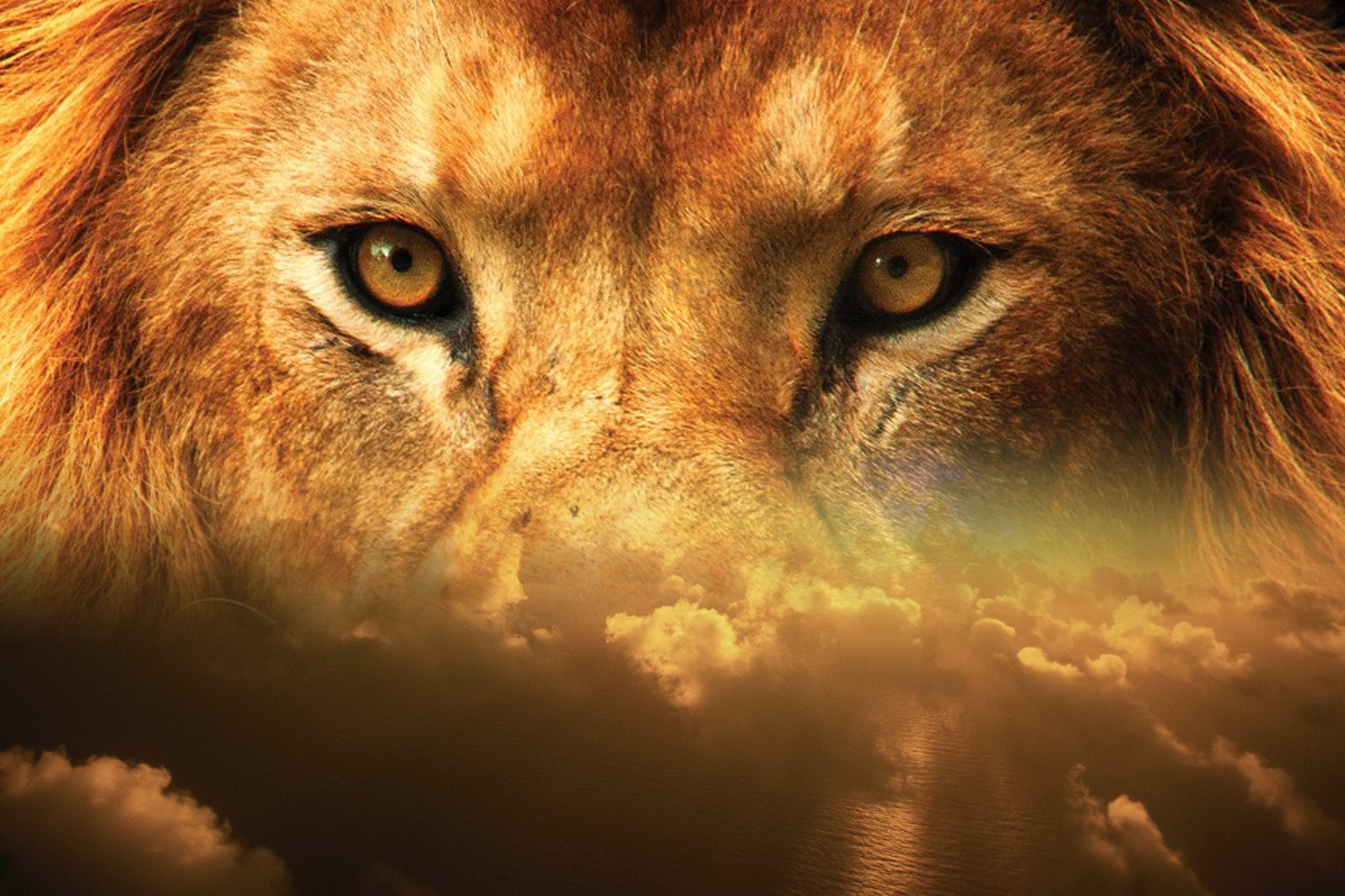 11 истини за зодия Лъв