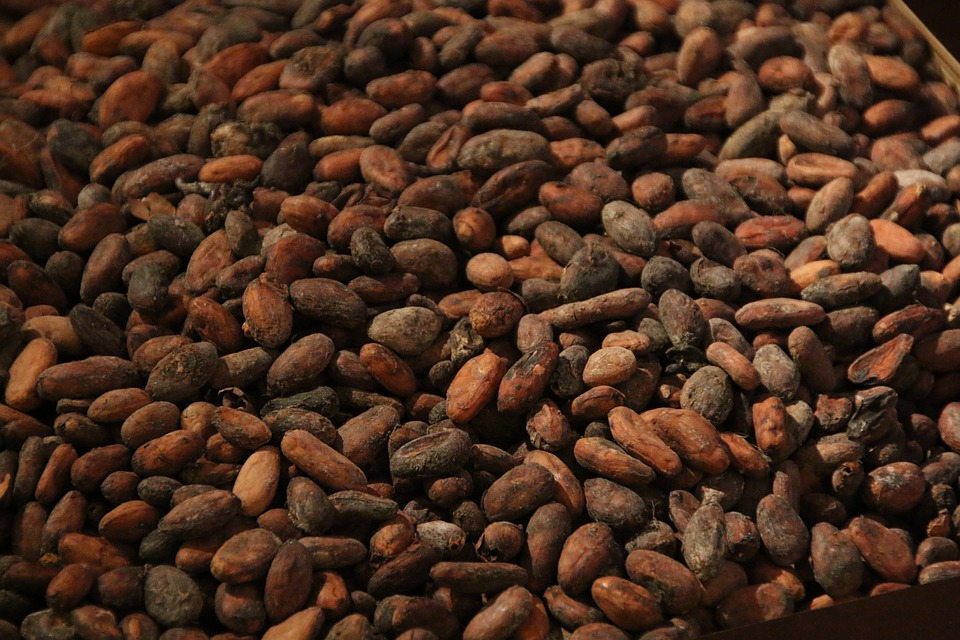 Тайните на какаовото масло