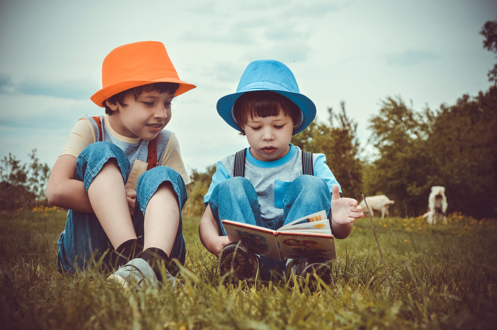 Четенето на една и съща книжка прави децата по-добри ученици