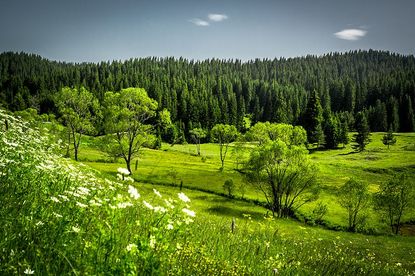 Красотата на Родопите: кои природни феномени трябва да посетите