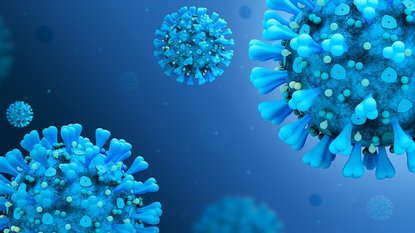 Как да подсилиш имунитета си – три основни стъпки