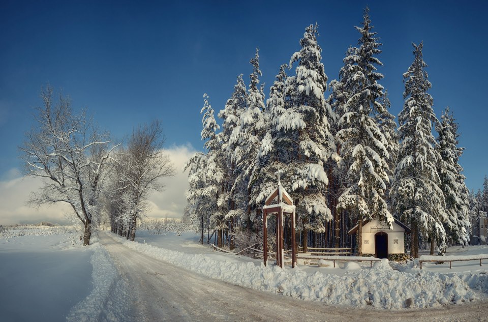 Български мотиви