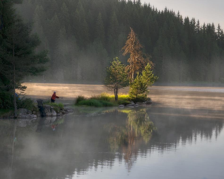 Български мотиви