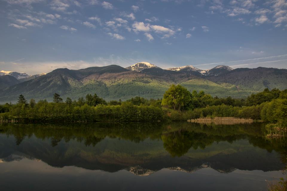 Български мотиви