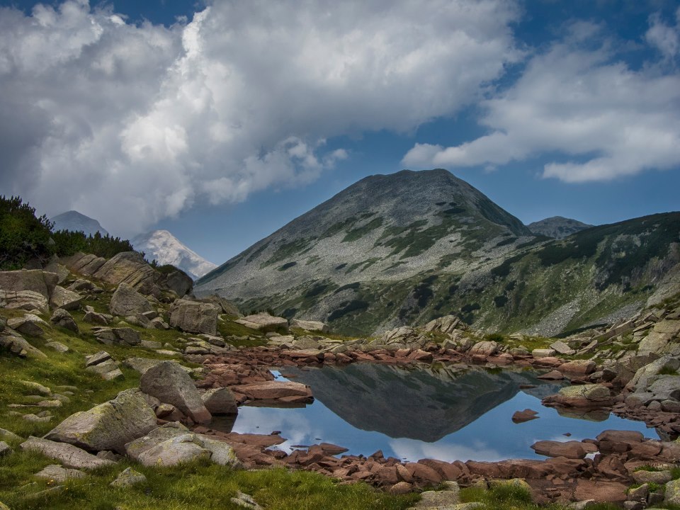 Български мотиви