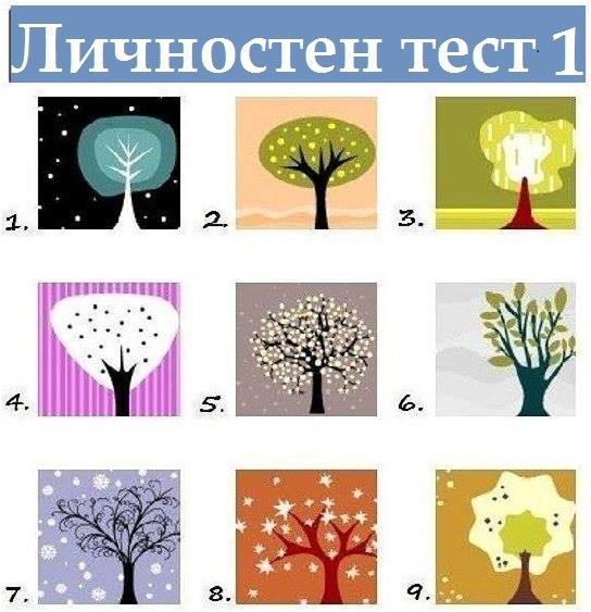 Тест с дървета: Каква личност сте?