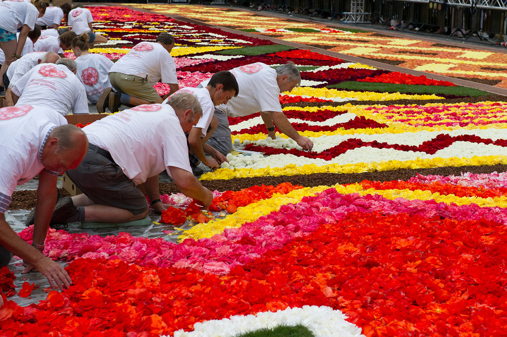 Най-големият цветен килим в света  