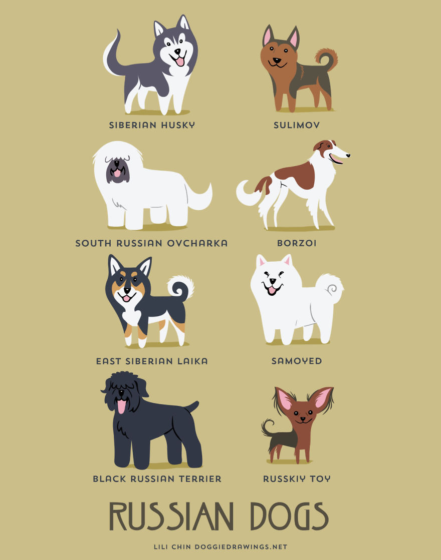 Коя е родината на кучето ви?