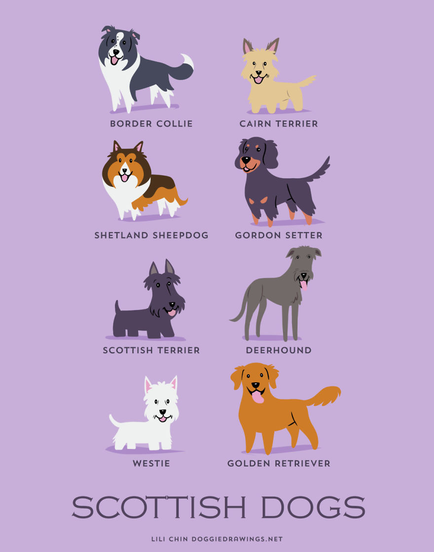 Коя е родината на кучето ви?
