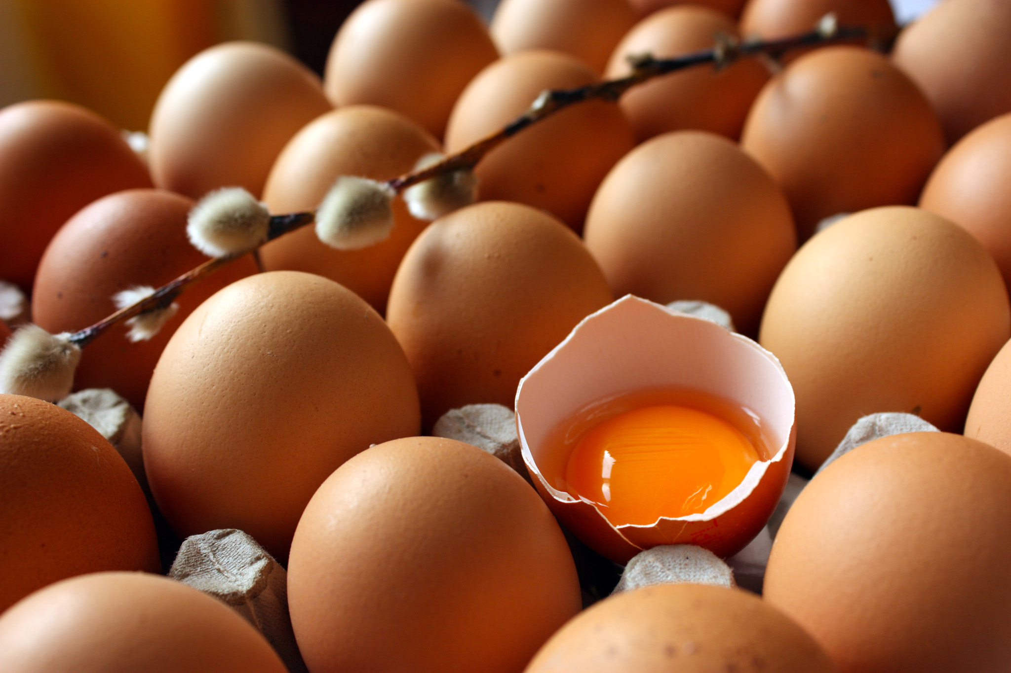 Как да разберем дали яйцата са пресни