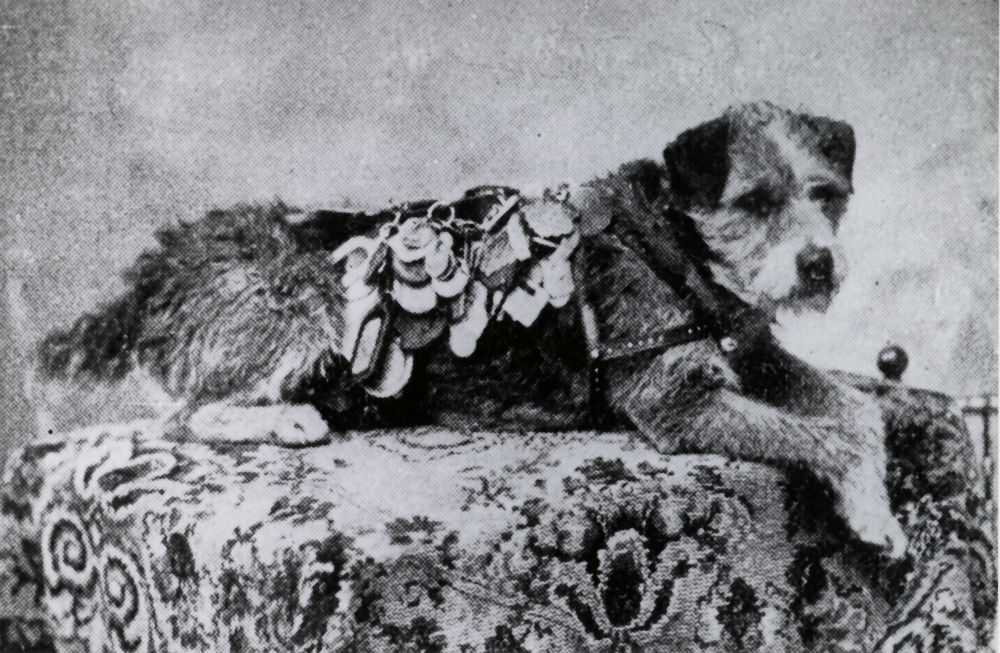 Кучето Оуни, което се превръща в пощенски талисман