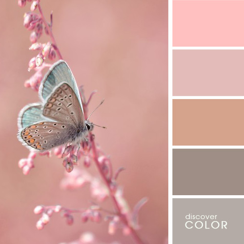  Перфектни комбинации от цветове, дело на природата