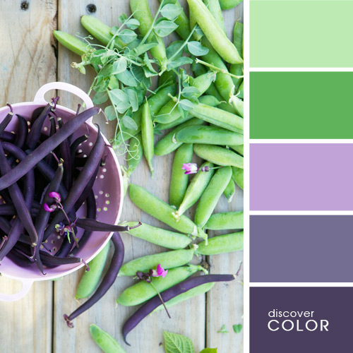 Перфектни комбинации от цветове при поднасянето на храна