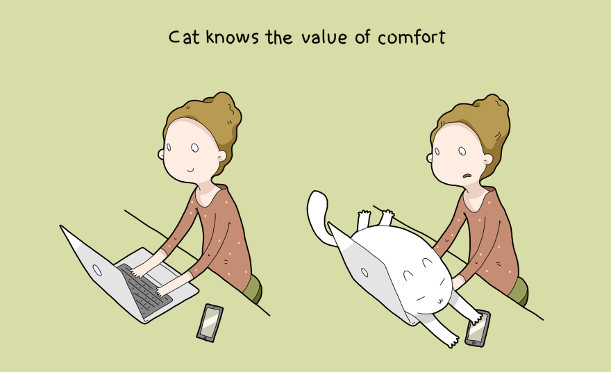 Кои са предимствата да имаш котка