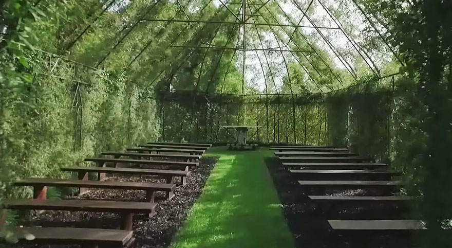 Уникална църква от живи дървета