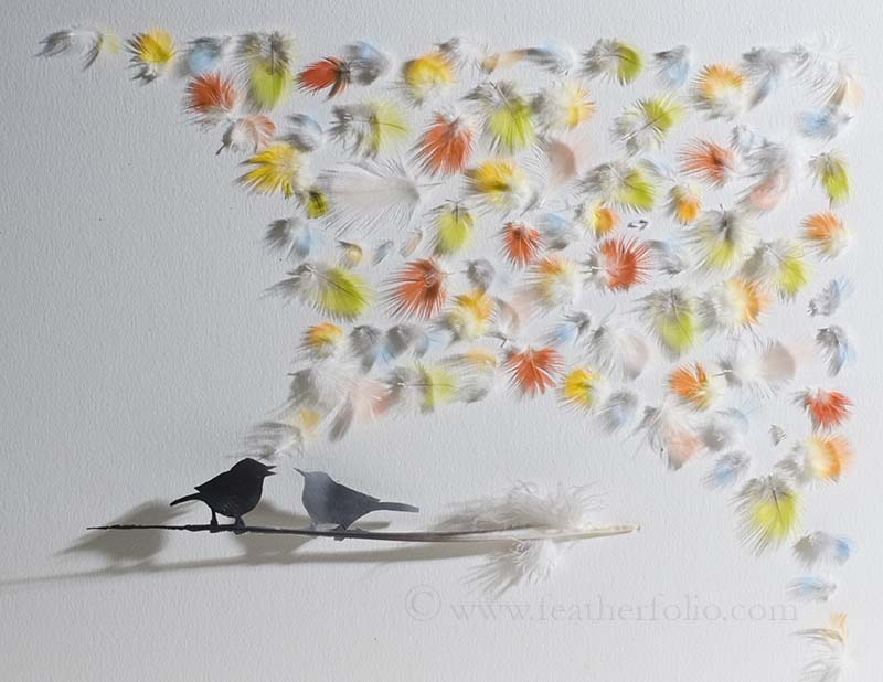 Изкуство с пера от красиви птици