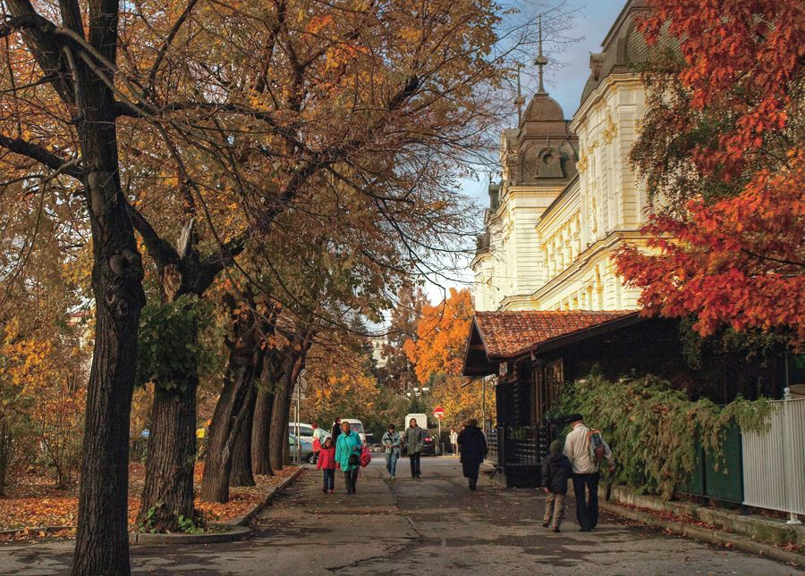 Снимки, които ще ви накарат да преоткриете София