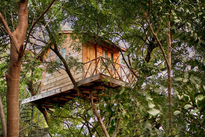20 впечатляващи къщи върху дървета 