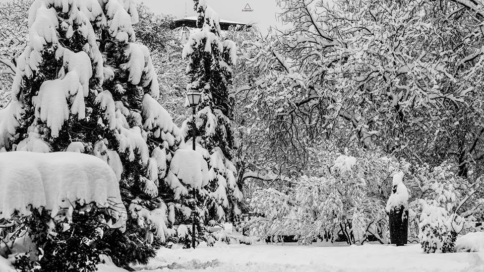 Магията на снежна София в 22 уникални снимки