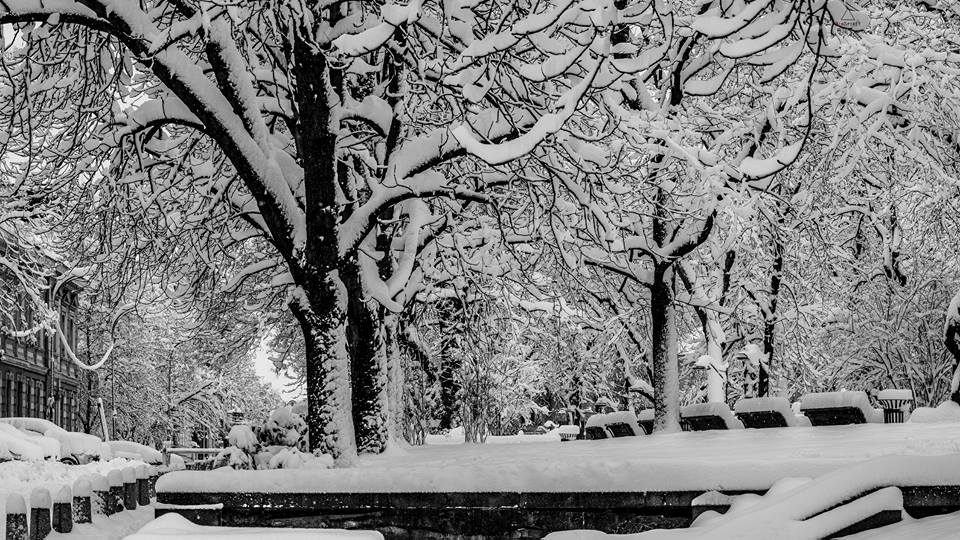 Магията на снежна София в 22 уникални снимки